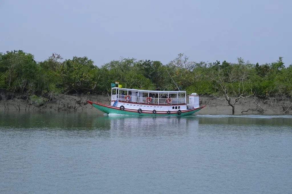 Boat Travel in Sundarbans 